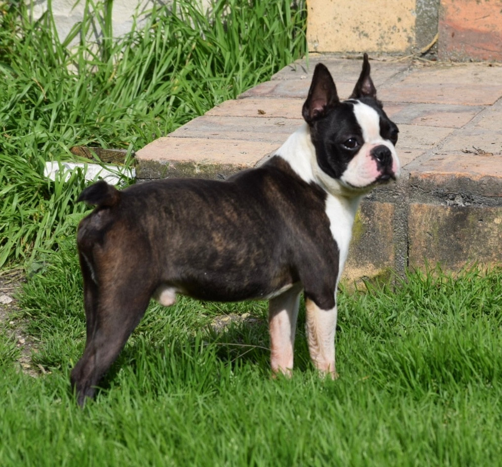 Un soir de pleine lune Du grand fresnoy